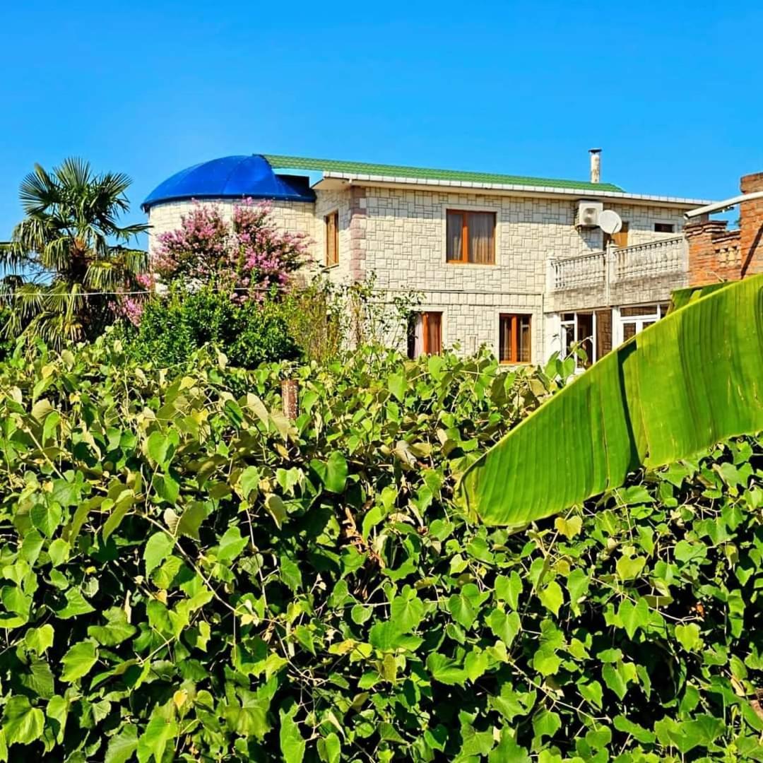 Samtredia Blue Guest House מראה חיצוני תמונה